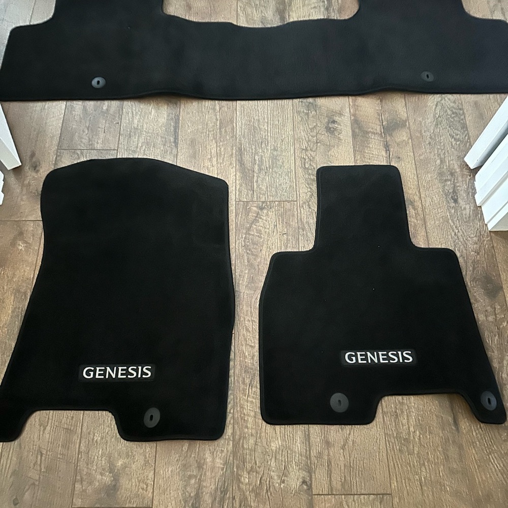 2021-22 OED Genesis GV80 carpet mats.  Barely used.